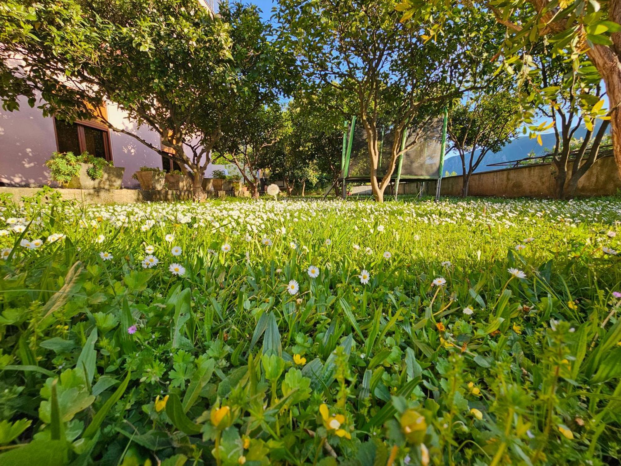 Modern Seaside Escape - Stunning Sea View - Private & Stylish Apartment Kotor Ngoại thất bức ảnh
